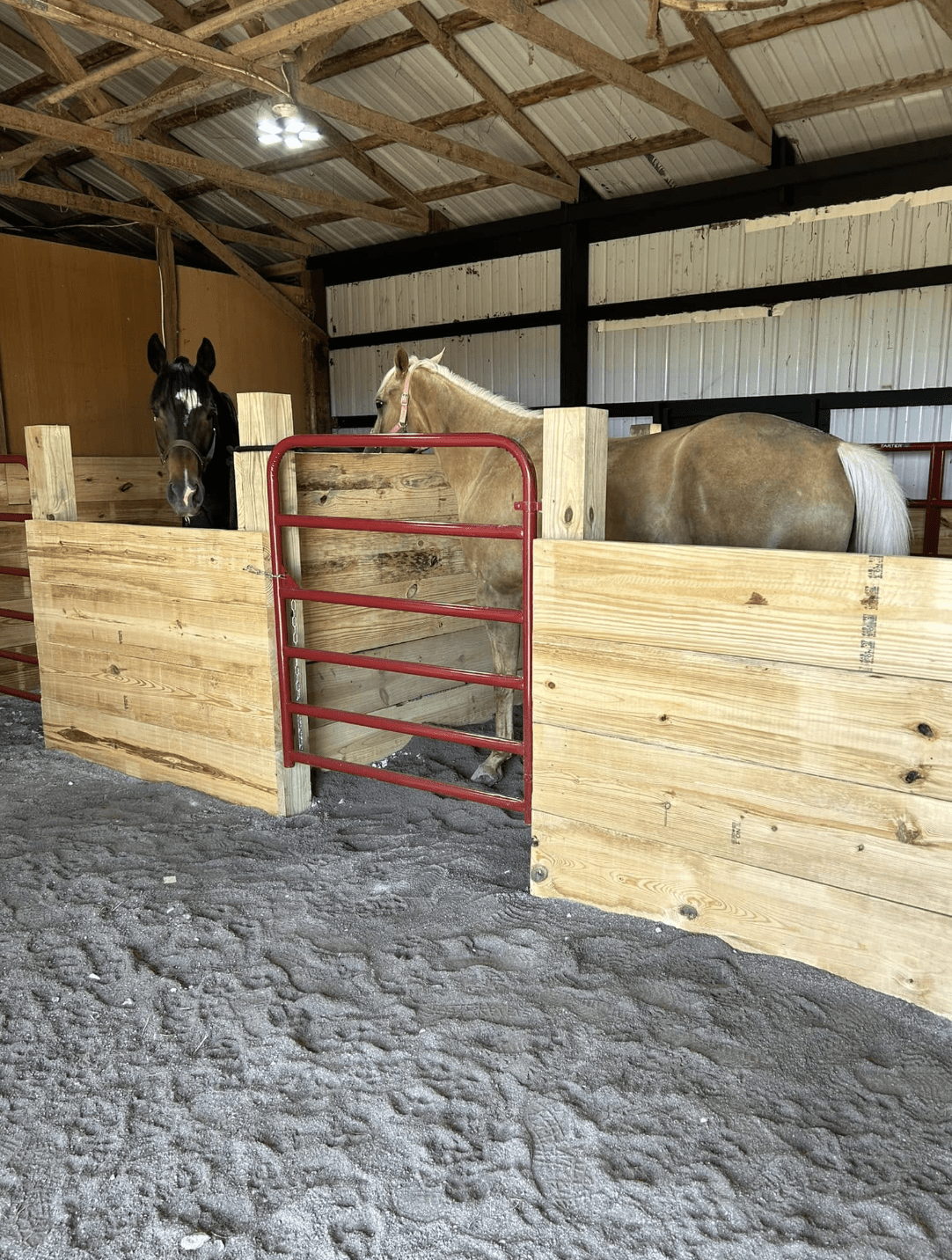 Lafayette Pet Fences | Doin' It Wells