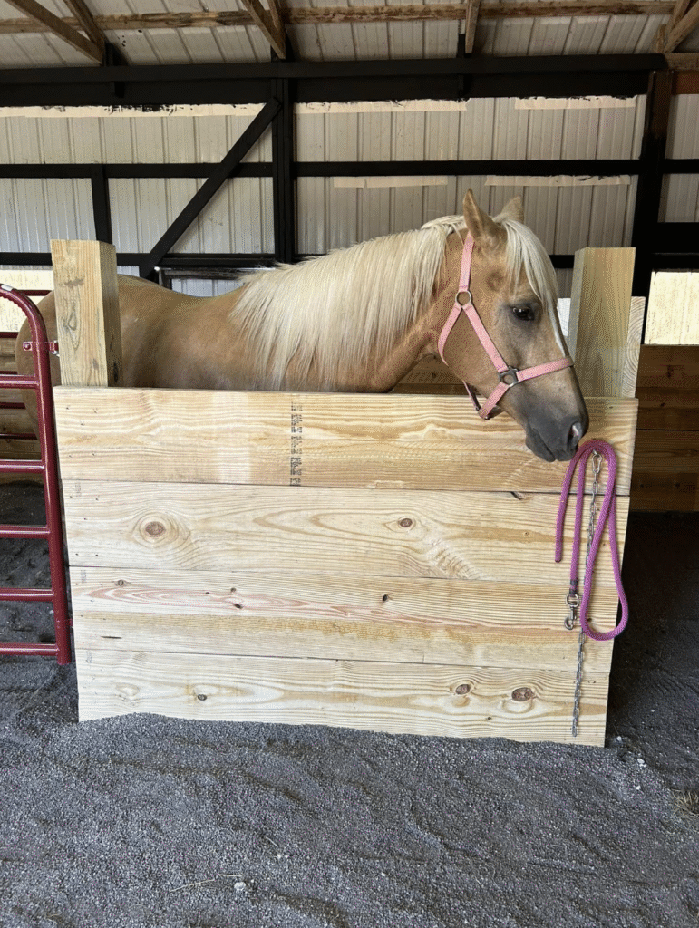 Lafayette Pet Fences | Doin' It Wells