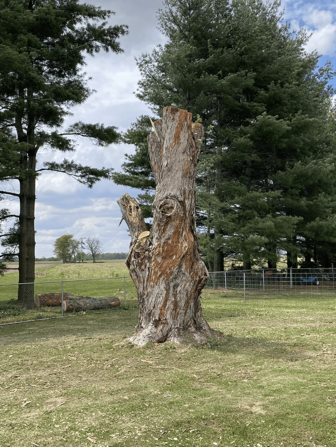 Tree Services Lebanon IN | Doin' It Wells