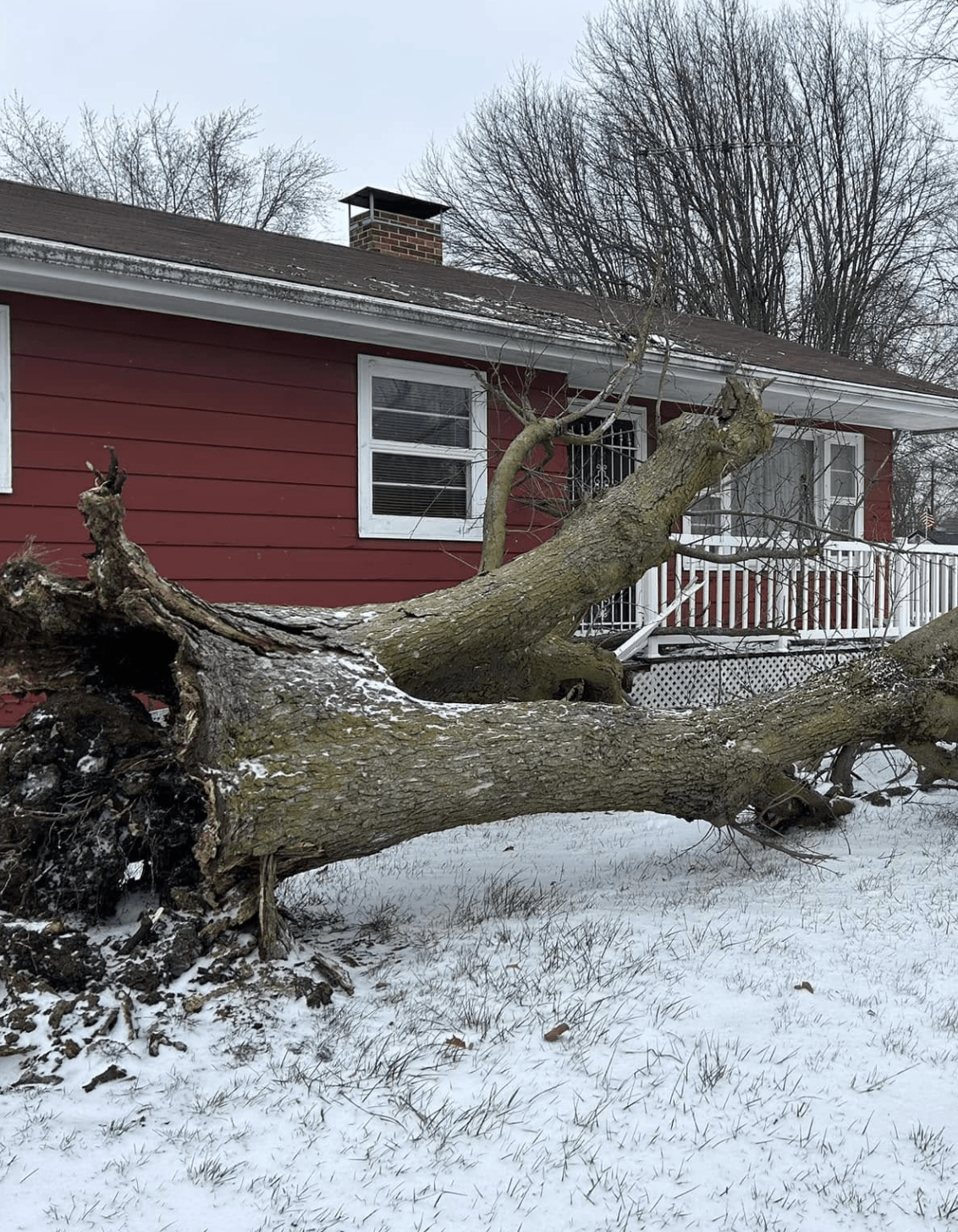 Lafayette Storm Damage Cleanup | Doin' It Wells